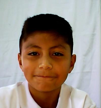 User Image