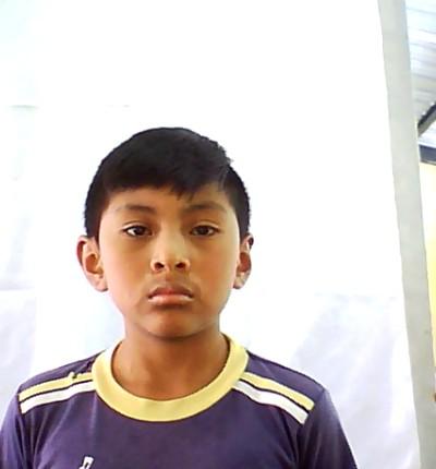User Image