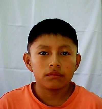 User Image