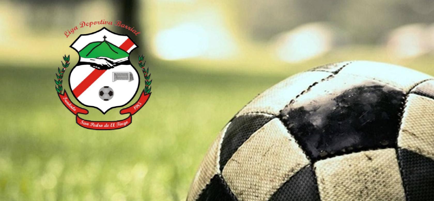 Liga Deportiva Barrial S.  Pedro  Tingo
